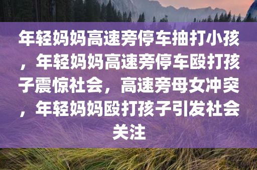 年轻妈妈高速旁停车抽打小孩，年轻妈妈高速旁停车殴打孩子震惊社会，高速旁母女冲突，年轻妈妈殴打孩子引发社会关注