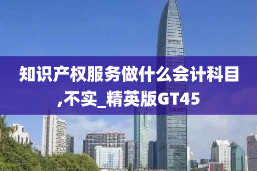 知识产权服务做什么会计科目,不实_精英版GT45