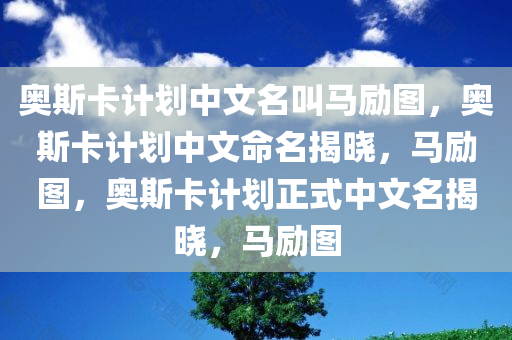 奥斯卡计划中文名叫马励图，奥斯卡计划中文命名揭晓，马励图，奥斯卡计划正式中文名揭晓，马励图