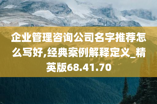 企业管理咨询公司名字推荐怎么写好,经典案例解释定义_精英版68.41.70