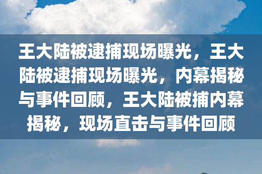 王大陆被逮捕现场曝光，王大陆被逮捕现场曝光，内幕揭秘与事件回顾，王大陆被捕内幕揭秘，现场直击与事件回顾