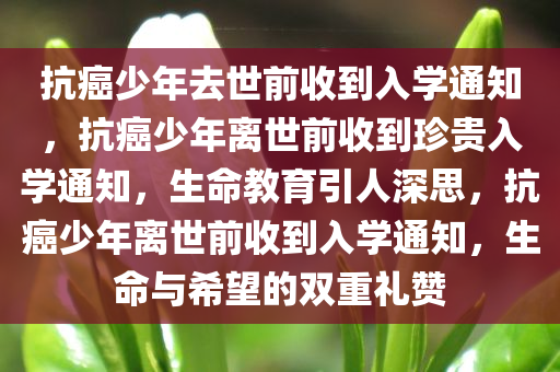 抗癌少年去世前收到入学通知，抗癌少年离世前收到珍贵入学通知，生命教育引人深思，抗癌少年离世前收到入学通知，生命与希望的双重礼赞