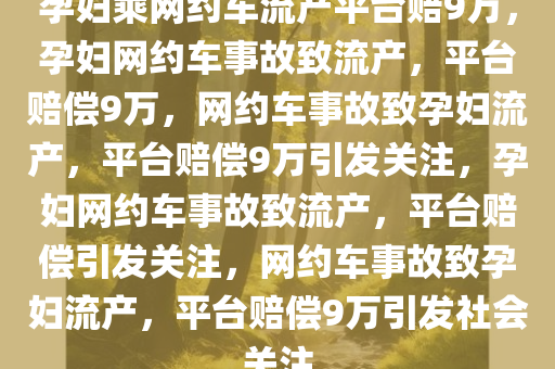 孕妇乘网约车流产平台赔9万，孕妇网约车事故致流产，平台赔偿9万，网约车事故致孕妇流产，平台赔偿9万引发关注，孕妇网约车事故致流产，平台赔偿引发关注，网约车事故致孕妇流产，平台赔偿9万引发社会关注