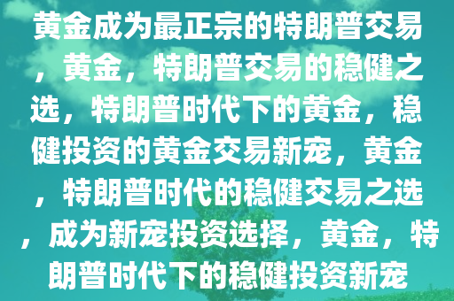 黄金成为最正宗的特朗普交易，黄金，特朗普交易的稳健之选，特朗普时代下的黄金，稳健投资的黄金交易新宠，黄金，特朗普时代的稳健交易之选，成为新宠投资选择，黄金，特朗普时代下的稳健投资新宠