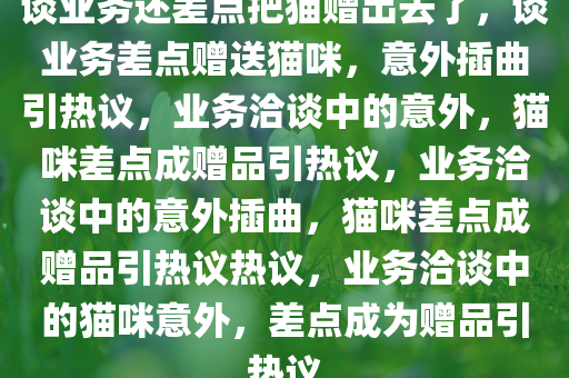 谈业务还差点把猫赠出去了，谈业务差点赠送猫咪，意外插曲引热议，业务洽谈中的意外，猫咪差点成赠品引热议，业务洽谈中的意外插曲，猫咪差点成赠品引热议热议，业务洽谈中的猫咪意外，差点成为赠品引热议