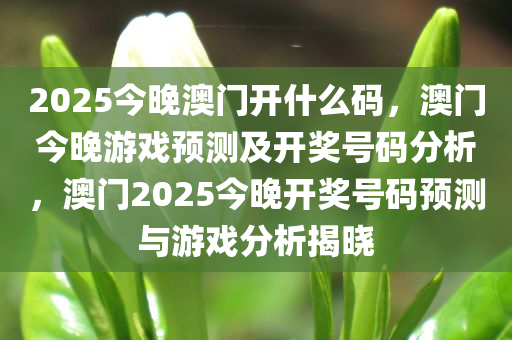 2025今晚澳门开什么码，澳门今晚游戏预测及开奖号码分析，澳门2025今晚开奖号码预测与游戏分析揭晓