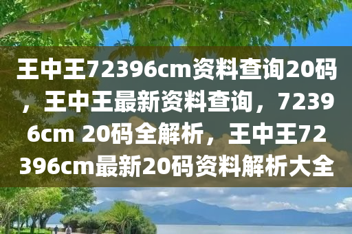 王中王72396cm资料查询20码，王中王最新资料查询，72396cm 20码全解析，王中王72396cm最新20码资料解析大全