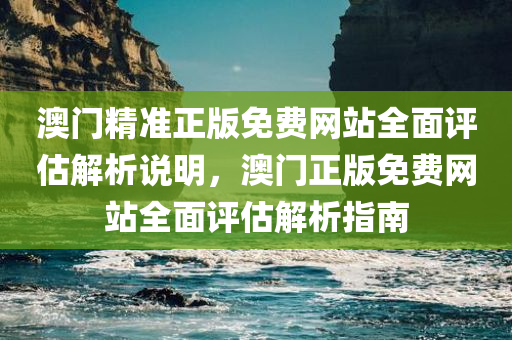 澳门精准正版免费网站全面评估解析说明，澳门正版免费网站全面评估解析指南