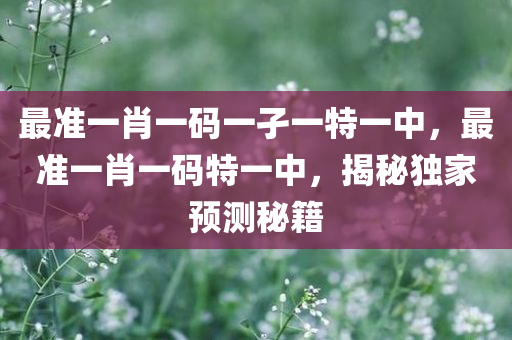 最准一肖一码一孑一特一中，最准一肖一码特一中，揭秘独家预测秘籍