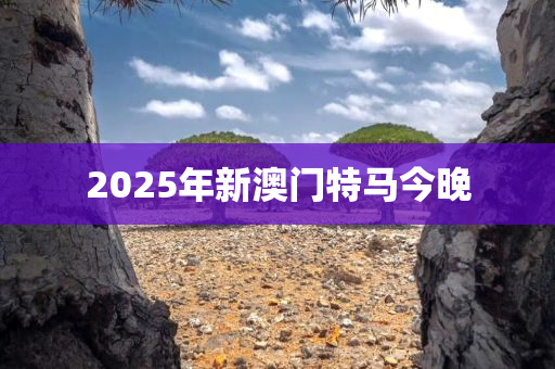 2025年新澳门特马今晚