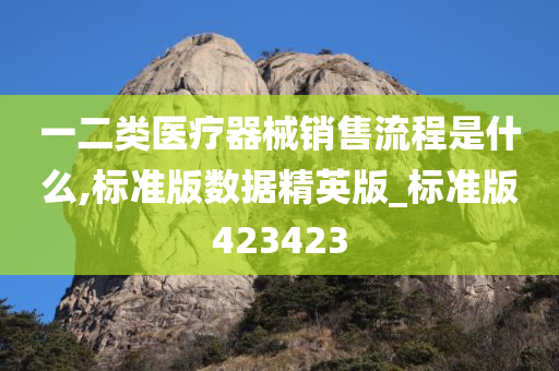 一二类医疗器械销售流程是什么,标准版数据精英版_标准版423423