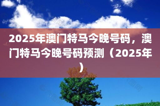 2025年澳门特马今晚号码，澳门特马今晚号码预测（2025年）