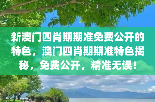 新澳门四肖期期准免费公开的特色，澳门四肖期期准特色揭秘，免费公开，精准无误！