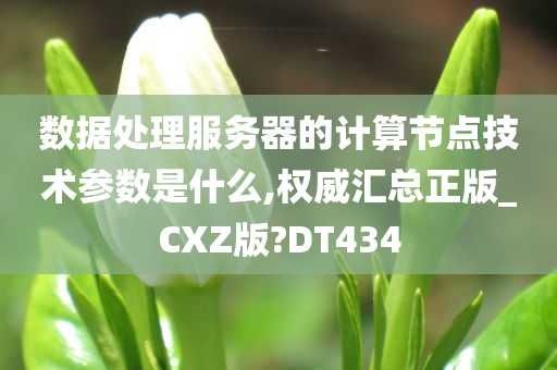 数据处理服务器的计算节点技术参数是什么,权威汇总正版_CXZ版?DT434