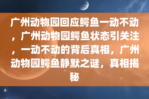 广州动物园回应鳄鱼一动不动，广州动物园鳄鱼状态引关注，一动不动的背后真相，广州动物园鳄鱼静默之谜，真相揭秘