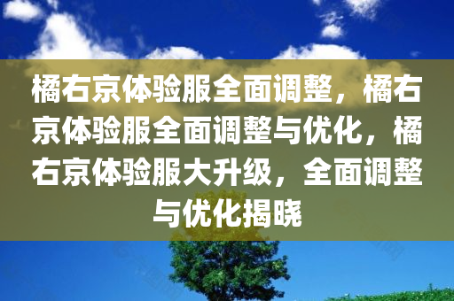 橘右京体验服全面调整，橘右京体验服全面调整与优化，橘右京体验服大升级，全面调整与优化揭晓