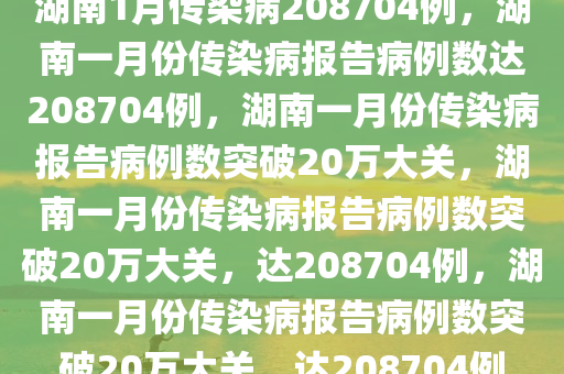 湖南1月传染病208704例，湖南一月份传染病报告病例数达208704例，湖南一月份传染病报告病例数突破20万大关，湖南一月份传染病报告病例数突破20万大关，达208704例，湖南一月份传染病报告病例数突破20万大关，达208704例