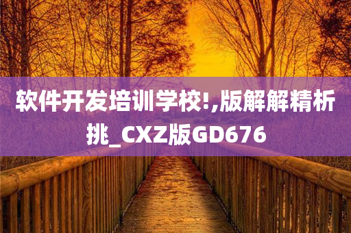 软件开发培训学校!,版解解精析挑_CXZ版GD676