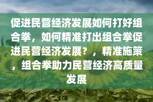 促进民营经济发展如何打好组合拳，如何精准打出组合拳促进民营经济发展？，精准施策，组合拳助力民营经济高质量发展