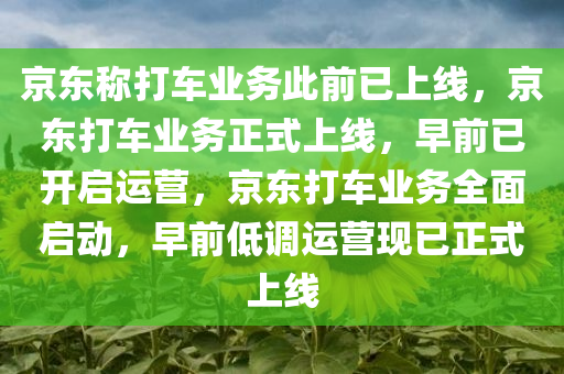 京东称打车业务此前已上线，京东打车业务正式上线，早前已开启运营，京东打车业务全面启动，早前低调运营现已正式上线