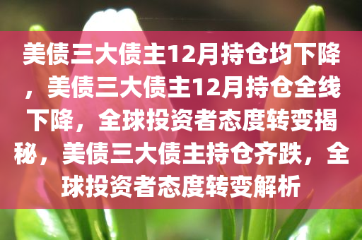 美债三大债主12月持仓均下降，美债三大债主12月持仓全线下降，全球投资者态度转变揭秘，美债三大债主持仓齐跌，全球投资者态度转变解析