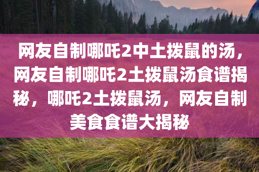 网友自制哪吒2中土拨鼠的汤，网友自制哪吒2土拨鼠汤食谱揭秘，哪吒2土拨鼠汤，网友自制美食食谱大揭秘