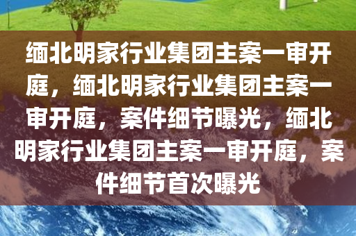 缅北明家行业集团主案一审开庭，缅北明家行业集团主案一审开庭，案件细节曝光，缅北明家行业集团主案一审开庭，案件细节首次曝光