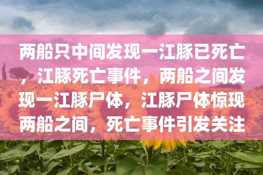 两船只中间发现一江豚已死亡，江豚死亡事件，两船之间发现一江豚尸体，江豚尸体惊现两船之间，死亡事件引发关注