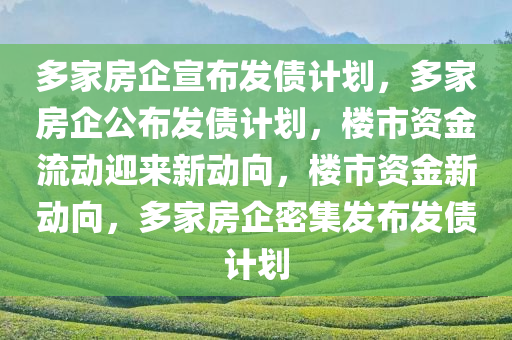 多家房企宣布发债计划，多家房企公布发债计划，楼市资金流动迎来新动向，楼市资金新动向，多家房企密集发布发债计划