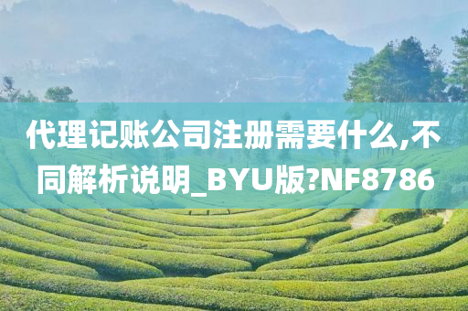 代理记账公司注册需要什么,不同解析说明_BYU版?NF8786