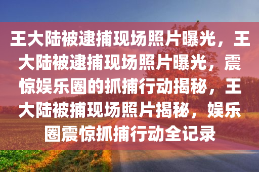 王大陆被逮捕现场照片曝光，王大陆被逮捕现场照片曝光，震惊娱乐圈的抓捕行动揭秘，王大陆被捕现场照片揭秘，娱乐圈震惊抓捕行动全记录