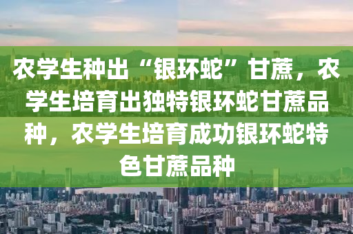 农学生种出“银环蛇”甘蔗，农学生培育出独特银环蛇甘蔗品种，农学生培育成功银环蛇特色甘蔗品种