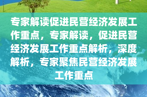 专家解读促进民营经济发展工作重点，专家解读，促进民营经济发展工作重点解析，深度解析，专家聚焦民营经济发展工作重点