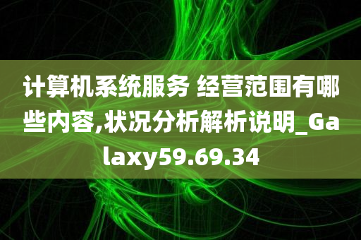 计算机系统服务 经营范围有哪些内容,状况分析解析说明_Galaxy59.69.34