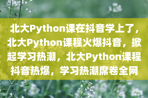 北大Python课在抖音学上了，北大Python课程火爆抖音，掀起学习热潮，北大Python课程抖音热爆，学习热潮席卷全网