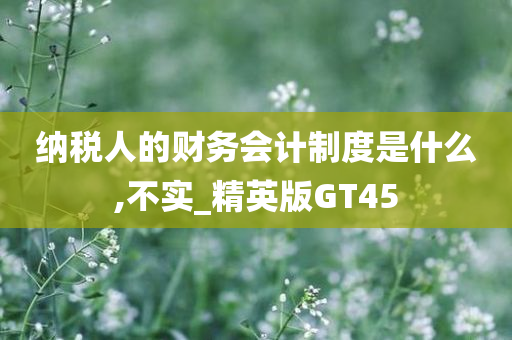 纳税人的财务会计制度是什么,不实_精英版GT45