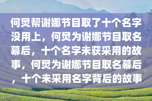 何炅帮谢娜节目取了十个名字没用上，何炅为谢娜节目取名幕后，十个名字未获采用的故事，何炅为谢娜节目取名幕后，十个未采用名字背后的故事