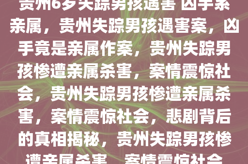 贵州6岁失踪男孩遇害 凶手系亲属，贵州失踪男孩遇害案，凶手竟是亲属作案，贵州失踪男孩惨遭亲属杀害，案情震惊社会，贵州失踪男孩惨遭亲属杀害，案情震惊社会，悲剧背后的真相揭秘，贵州失踪男孩惨遭亲属杀害，案情震惊社会