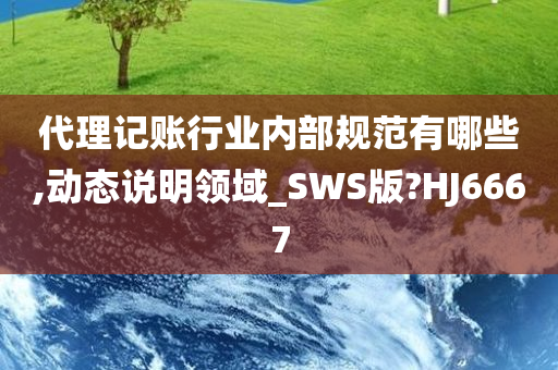 代理记账行业内部规范有哪些,动态说明领域_SWS版?HJ6667