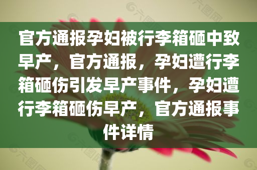 官方通报孕妇被行李箱砸中致早产，官方通报，孕妇遭行李箱砸伤引发早产事件，孕妇遭行李箱砸伤早产，官方通报事件详情