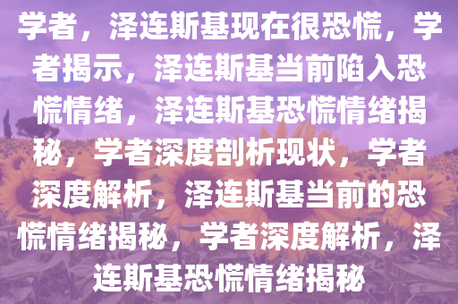 学者，泽连斯基现在很恐慌，学者揭示，泽连斯基当前陷入恐慌情绪，泽连斯基恐慌情绪揭秘，学者深度剖析现状，学者深度解析，泽连斯基当前的恐慌情绪揭秘，学者深度解析，泽连斯基恐慌情绪揭秘