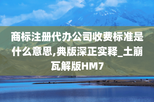 商标注册代办公司收费标准是什么意思,典版深正实释_土崩瓦解版HM7