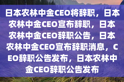 日本农林中金CEO将辞职，日本农林中金CEO宣布辞职，日本农林中金CEO辞职公告，日本农林中金CEO宣布辞职消息，CEO辞职公告发布，日本农林中金CEO辞职公告发布