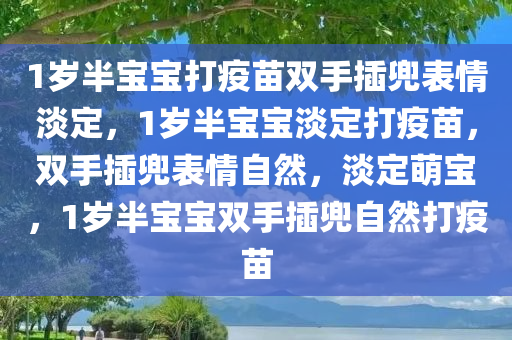 2025年2月20日 第4页