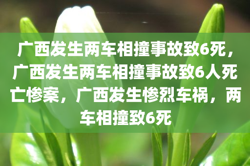 广西发生两车相撞事故致6死，广西发生两车相撞事故致6人死亡惨案，广西发生惨烈车祸，两车相撞致6死