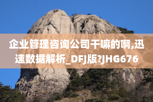 企业管理咨询公司干嘛的啊,迅速数据解析_DFJ版?JHG676