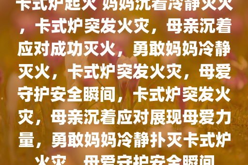 卡式炉起火 妈妈沉着冷静灭火，卡式炉突发火灾，母亲沉着应对成功灭火，勇敢妈妈冷静灭火，卡式炉突发火灾，母爱守护安全瞬间，卡式炉突发火灾，母亲沉着应对展现母爱力量，勇敢妈妈冷静扑灭卡式炉火灾，母爱守护安全瞬间