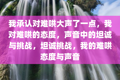 我承认对难哄大声了一点，我对难哄的态度，声音中的坦诚与挑战，坦诚挑战，我的难哄态度与声音