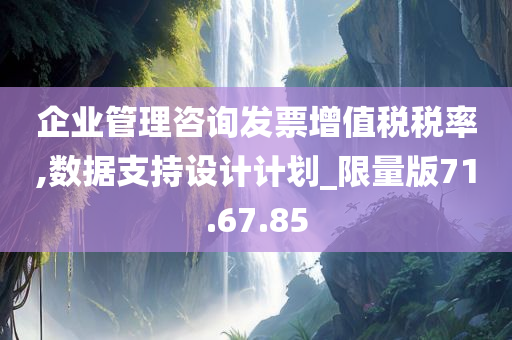 企业管理咨询发票增值税税率,数据支持设计计划_限量版71.67.85