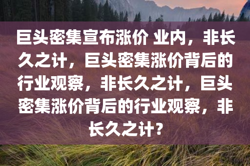 巨头密集宣布涨价 业内，非长久之计，巨头密集涨价背后的行业观察，非长久之计，巨头密集涨价背后的行业观察，非长久之计？